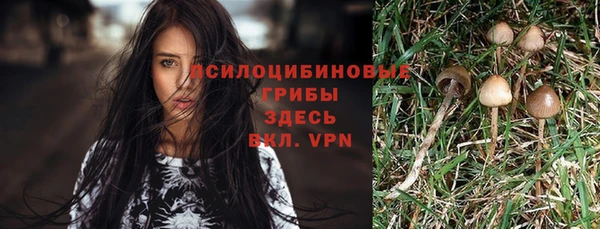 дживик Алексеевка